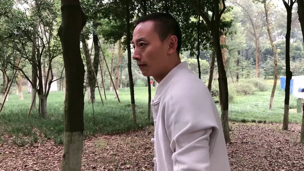 璟天大战铁猴子《第二部》